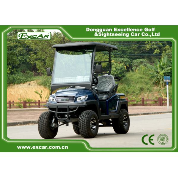 Тележки звероловства места таможни 4 электрические/багги звероловства автомобиля