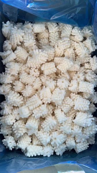 固定重量 新鮮 冷凍 イカの花 Dosidicus Gigas