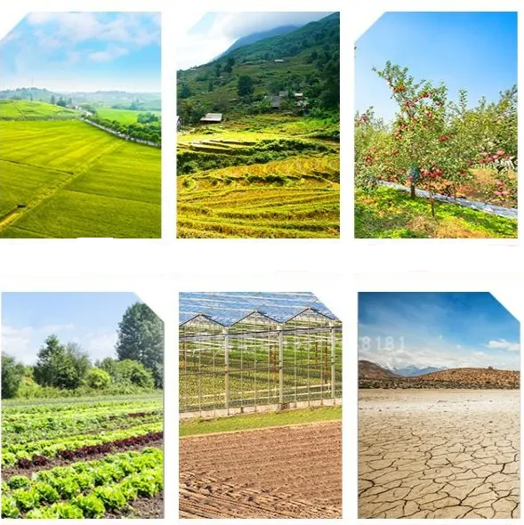 Agricultural Machinery S Tine Cultivator with Roller 2.1m Cultivator Tillage for Tractor 3ZS