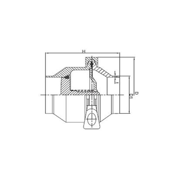 Weld Ends Check Stainless Steel Sanitary Valves Easily Cleaning Anti - Corrosion
