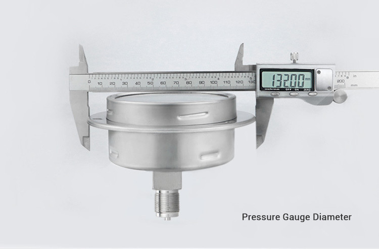 -Made 100mm Precision Axial Flange Edge Pressure Gauge for Water and Gas Measurement