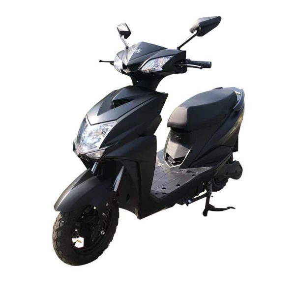 2024 800W 60v Cargo Delivery Motorcycle with Rear Hub Motor Steel Frame Lithium Battery