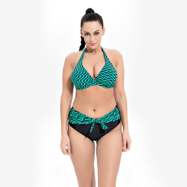 2019 New Plus Size Two piece Swimsuit Strip Print Swimsuit Women Push up 1957
