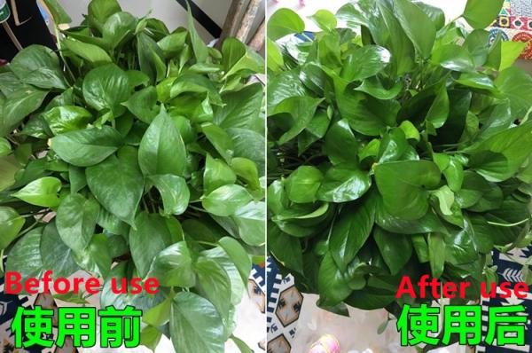 Harmless Polish Leaf Shine Spray Multipurpose Tinplate Material