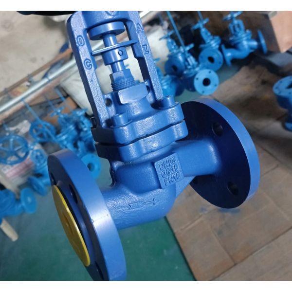 DIN bellows globe valve PN16 body GG25