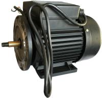 Moteur à induction fonctionnant monophasé de moteur à courant alternatif Pour la pompe à eau de piscine