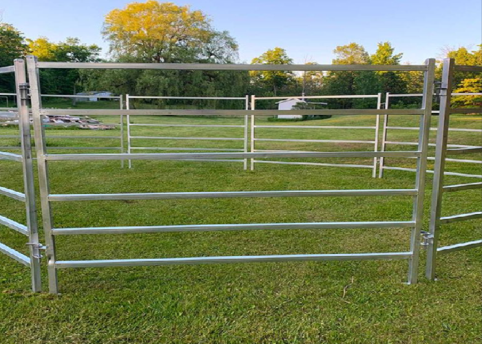 High Strength Q345 Steel Horse Fence Anti Chew Coating 1.8m Height