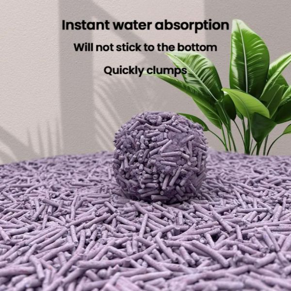 OEM Lavande naturelle Litter de chat Rassemblement rapide Déodorant fort pour les chats