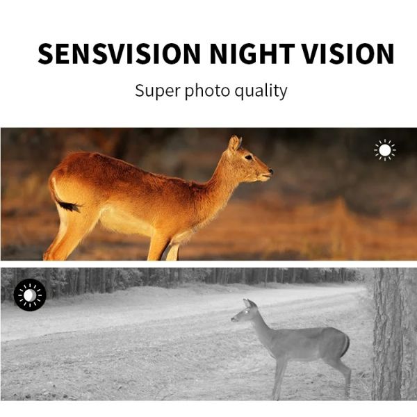 Wildlife Trail Camera HD Low Glow Arction 48MP IP65 Waterproof Outdoor Photo Trap with Night Vision