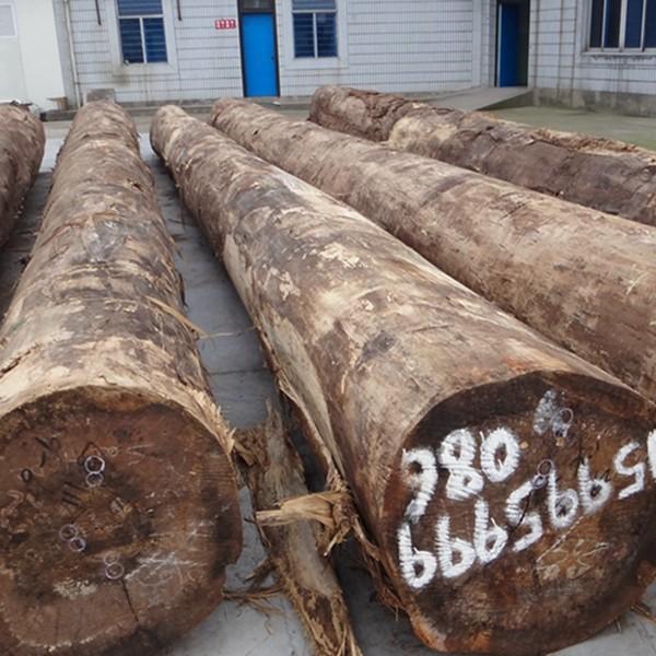 Quarter Cut Of Engineered Teak Veneer 2500*640mm Normal Size Straight Grain For Hotel Decoration TK-32Q/1690Q