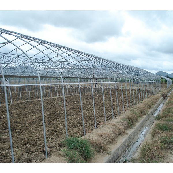 Agricultural Single-Span Tomato Greenhouse Frame PE Plastic Film for Plant Growth