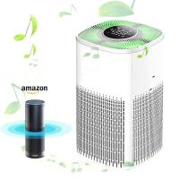 Purificateur d'air à filtre Hepa Wifi