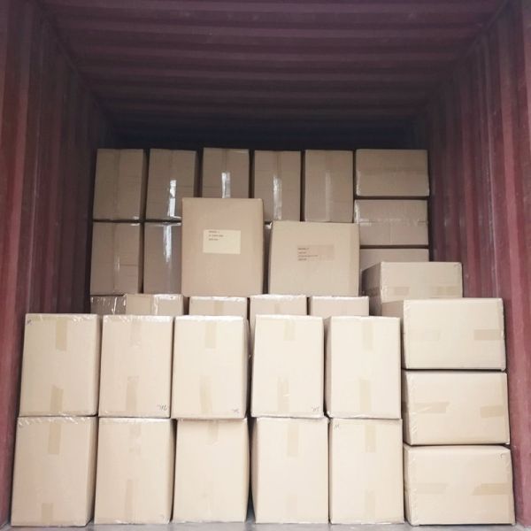 Disposable Polypropylene Non Woven Caps 22'' 23'' 24''