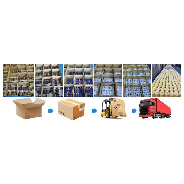 FCOLOR Factory Delivery DTF Machine Film Printer Heat Transfer Printing T Shirt Printing Xp600 Printer Head A3 DTF Printer