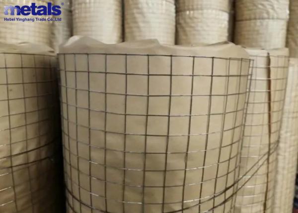Galvanized Welded Wire Mesh 1.2 to 2 Square Hole 3'x100m for Construction