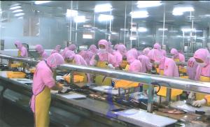 Máquina de processamento de camarão e peixe Plataforma de fluxo de processamento