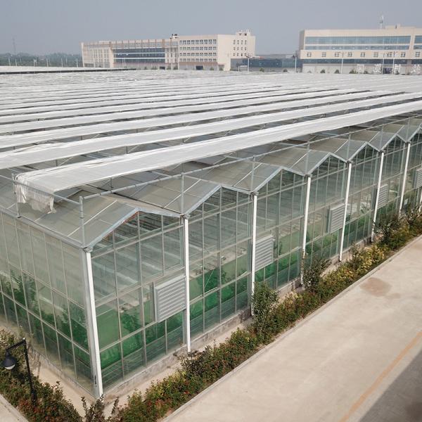Green Agricultural Glass Greenhouse with 5mm Covering Span Width 9.6m 10.8m 12m