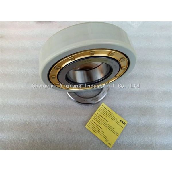 FAG Insulated  Cylindrical Roller Bearing  558320C.J20A