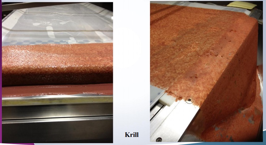 Retaining  Natural Vibrant Colors Customized 100kg Blueberry Powder Refraction Window Machine Sus304