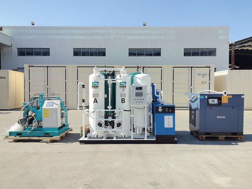 LuoMing PSA Medical Oxygen Generator 20Nm3/h 93% Purity Constant Pressure for Hospital Central Supply System
