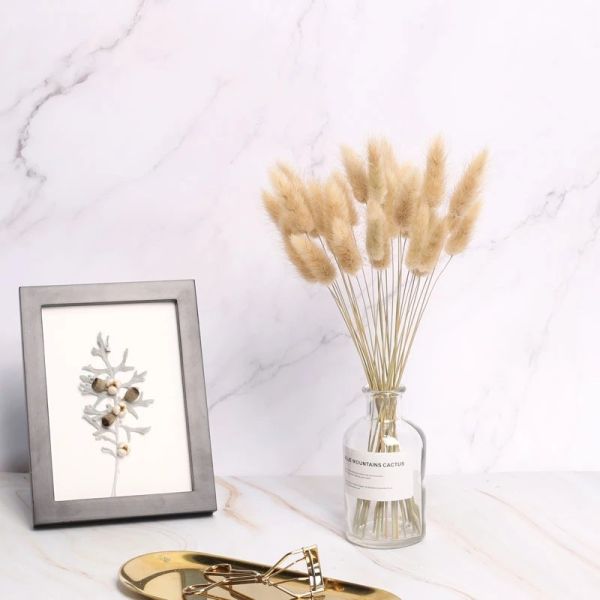 Wholesale cheap preserved dried flower 150 pcs /bunch dried rabbit tail grass lagurus ovatus