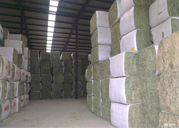 Custom Printed PP Woven Fabric For Shrink Wrap Hay Bales Crush Resistance
