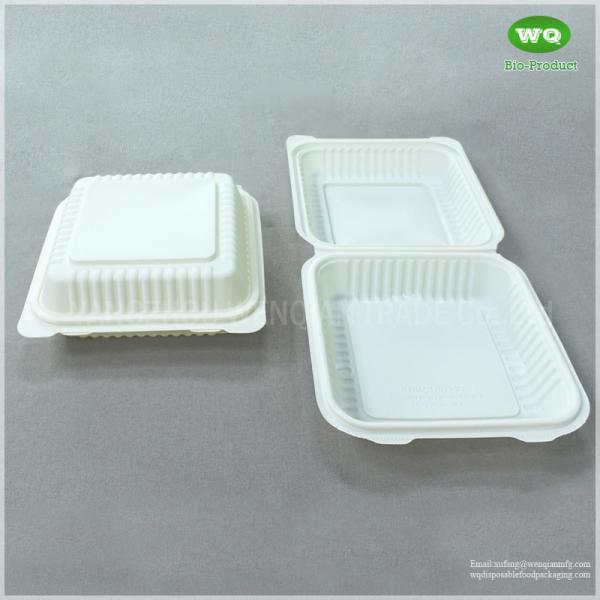 Duarable 8x8 Inch Bioplastic Hinge Food Container, 9x9inch Corn-Stach Microwave Safe Green/Healty Restaurant Packing Box