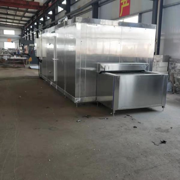 SUS304 Machine de congélation rapide individuelle IQF de haute précision 40 kW