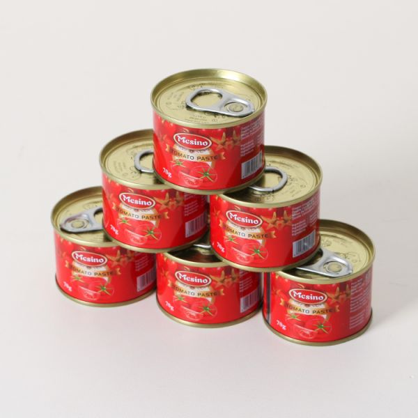 Manufacturer's Best Price for Wholesale 210g Brix 28-30% Natural Tomato Paste High Quality Ketchup
