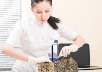 seringa injetável material de vidro dos microchip do número de 15digits ICAR bio para animais de estimação