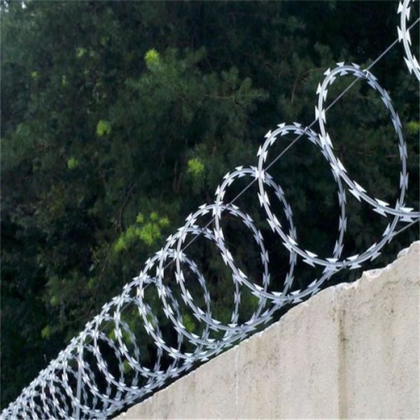 Hot Dip Galvanized Barbed Razor Wire with 2.5mm Wire Diameter for Protective