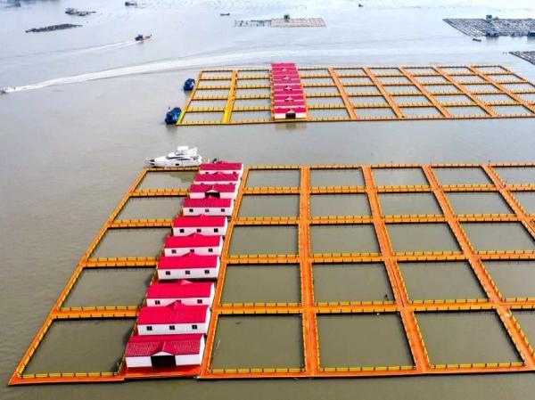 315mm Floating Pipe Square HDPE Fish Cage 4X4m Customized Floating In Lake Or River