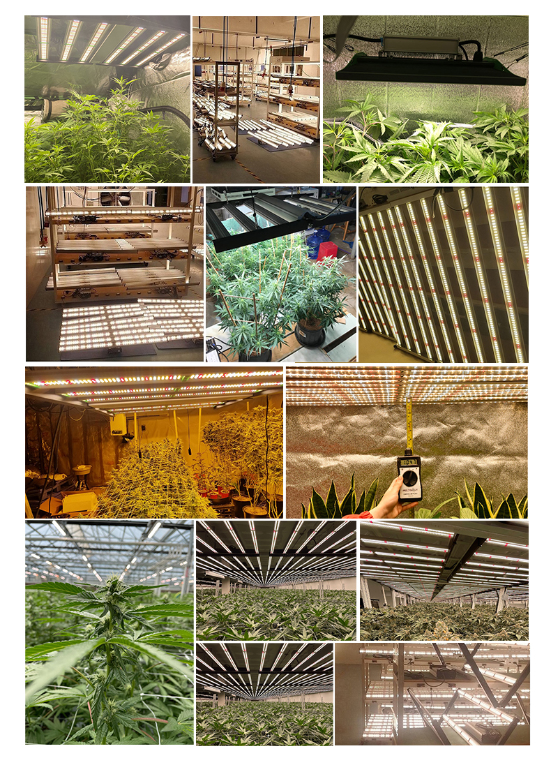 150w high bay light commercial industrial high efficiency ufo led grow light uv full spectrum grow lamp ip65