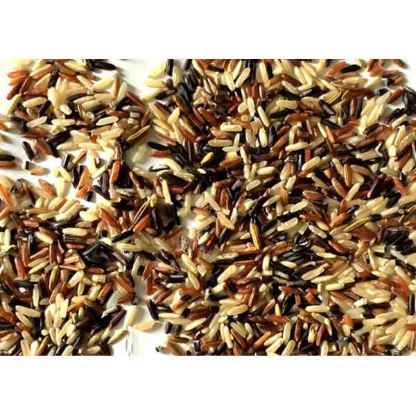 Black Rice Industrial Sorting Machine With Intelligent Dust Extraction System