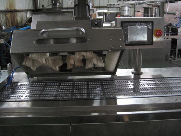 High Speed Plastic Pharmaceutical Blister Packaging Machines Long Life Time