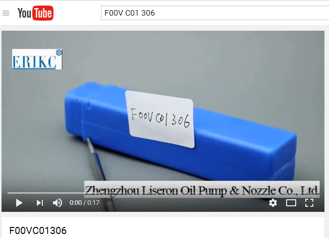 ERIKC FooVC01306 For BOS injection spare parts valve rod set F ooV C01 306 , inyector common rail valve FooV C01 306