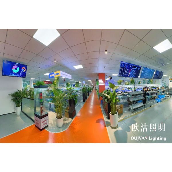 Shenzhen Oujie Lighting Technology Co., Ltd.