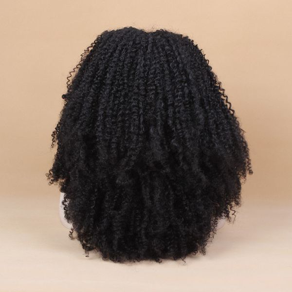 Wholesale Price Afro Wave Synthetic Lace Front Wigs 8-26 Inches