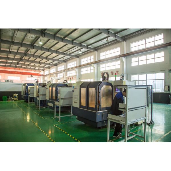 Acier inoxydable de grande précision automatique 304 de machine à emballer de poche de l'anarcadier 200g