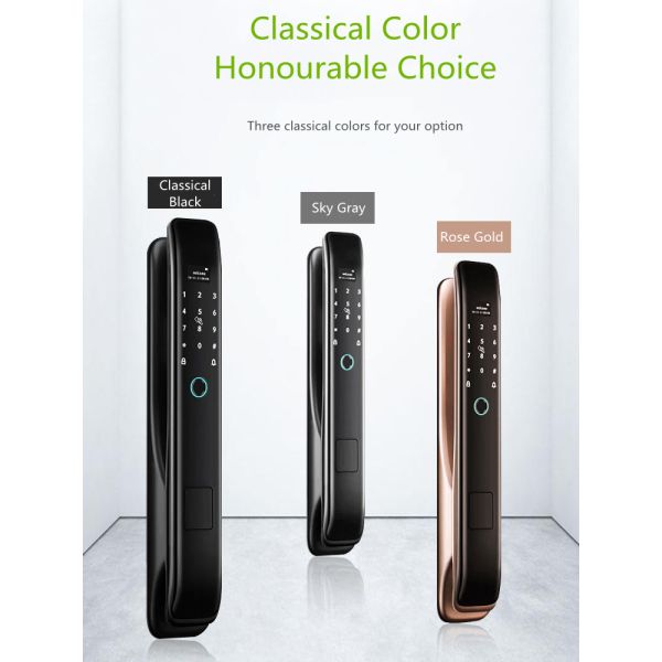 4200MAH Lithium Battery Auto Alarm Fingerprint Door Lock Classical Black