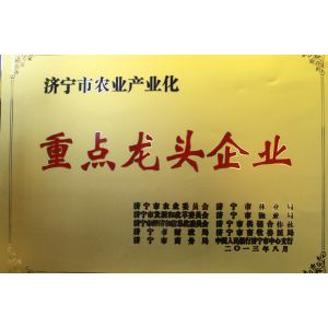 Jinxiang Huatai Fruits and Vegetables,I/E CO.,LTD Certifications