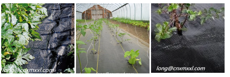 Крышка земли земледелия земной крышки HDPE сплетенная сеткой мульчирует циновку 1 до 1 засорителя фильма кв