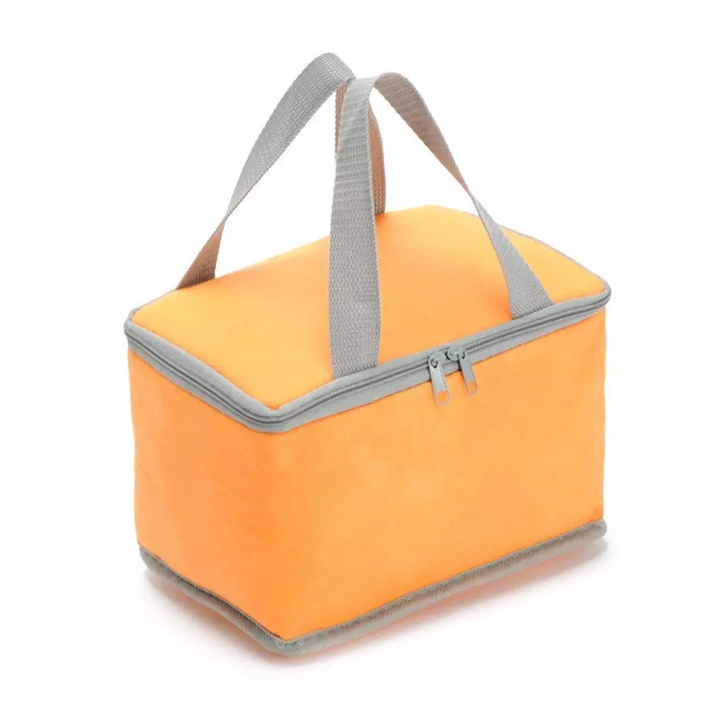 Pantone Insulated Cooler Bags Reusable With Aluminum Film