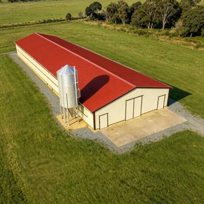 Hot-Dip Galvanized Steel Chicken House Cost-effective Solution for Quick Poultry Farm Construction