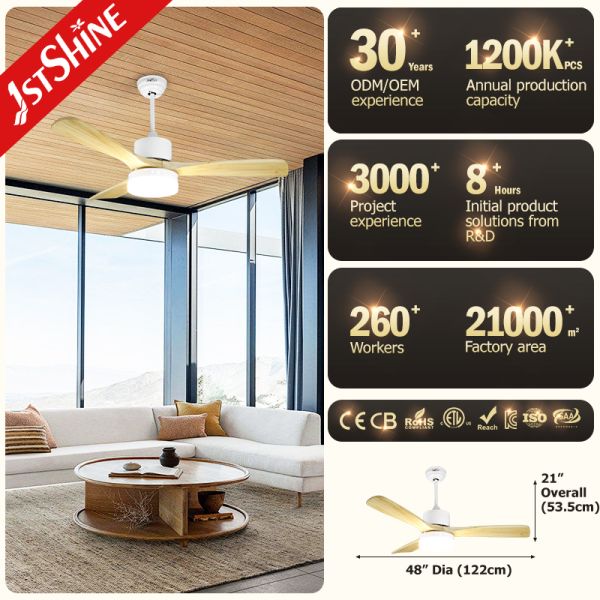 Temporada de Inverno Smart Bldc Ventilador de teto com luz por função reversível