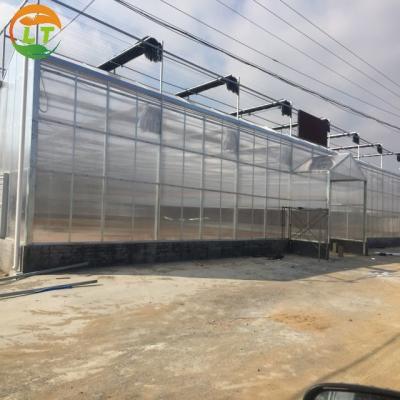 Estufas solares agrícolas de estrutura de aço para cultivo ajustável de vegetais e frutas