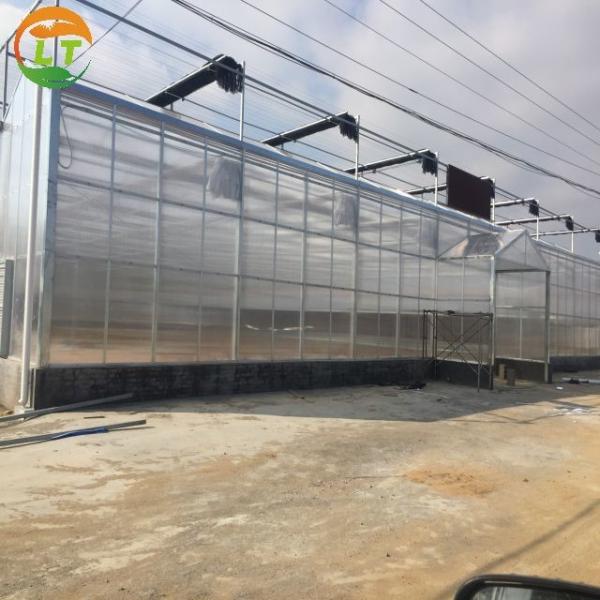 PC Greenhouse for Multi-Span Agricultural Greenhouses Section 8.0m Strong Structure