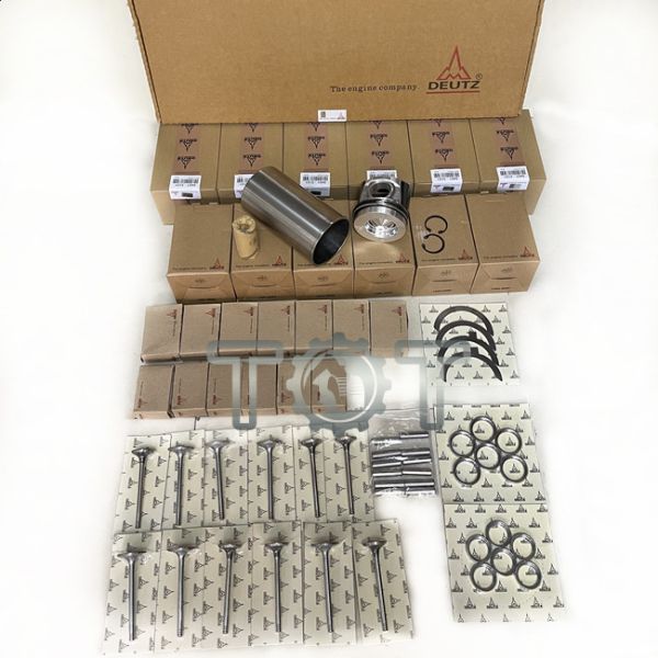 Набор вкладыша кольца поршеня машинных частей экскаватора Volvo Deutz D6D D6E 6M2012