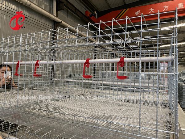 Poultry Farm Broiler Chicken Cage 3 Tiers , A Type Battery Cage For Broilers Doris