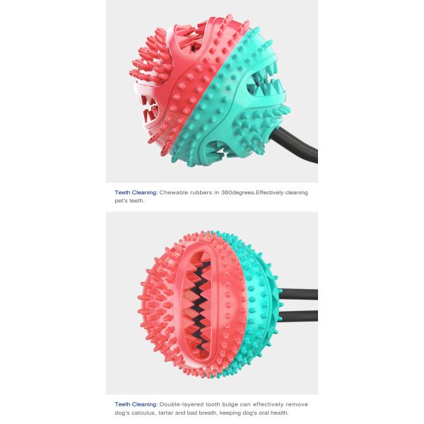 Любимец чашки всасывания собаки взаимодействующий забавляется молярный анти- ODM тренировки 400mm укуса